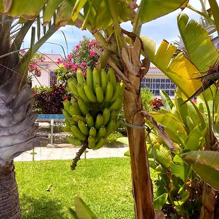 Sunnypalms Casa Mar 22 Дом отдыха Плайя-дель-Инглес